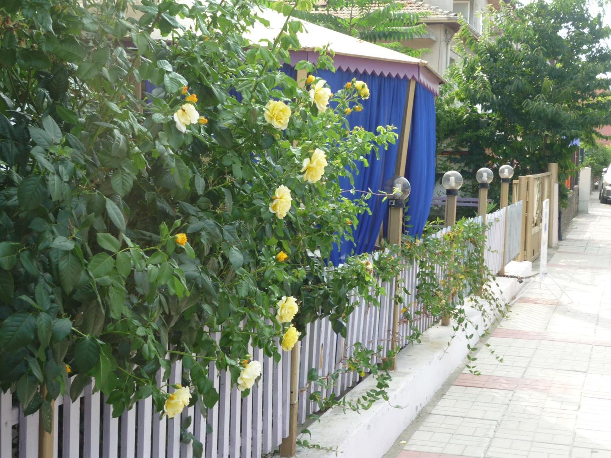 Hotel Strajica Лозенец Экстерьер фото